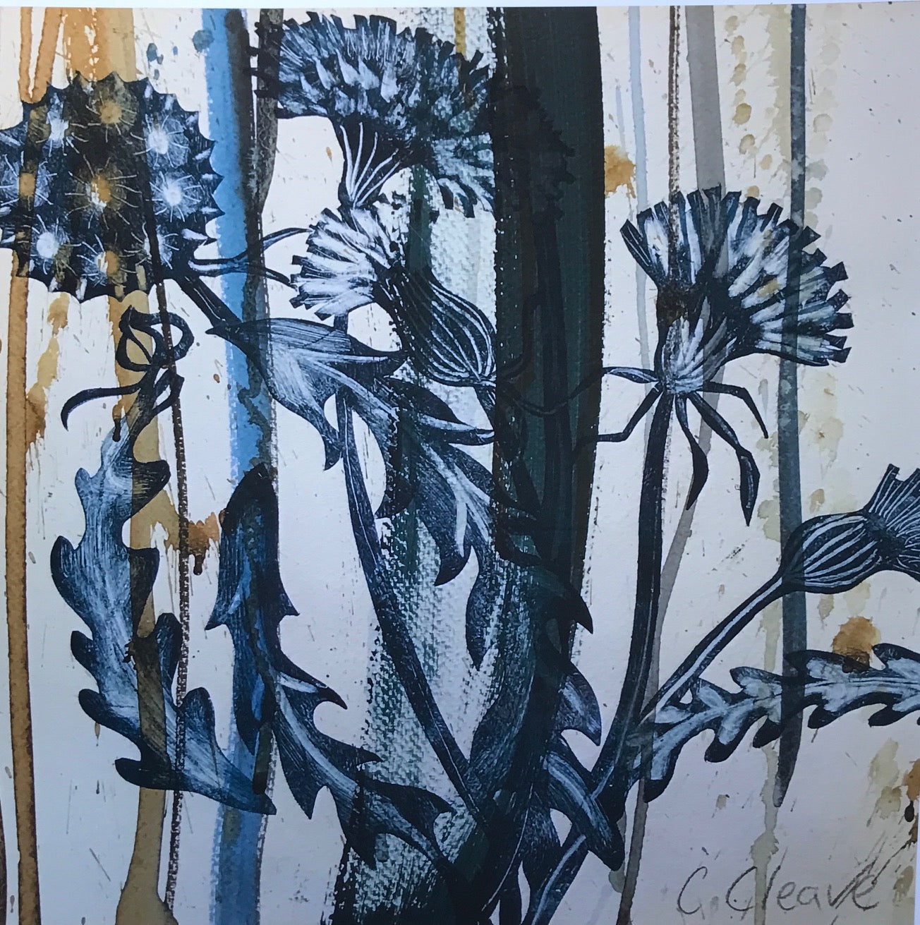 Dandelions