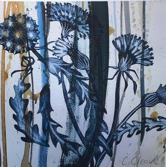 Dandelions